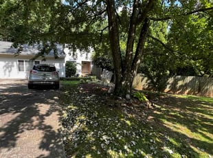 Sandra D.'s Cleanups service result