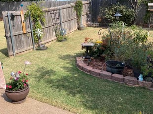 Ty F.'s Lawn Care service result