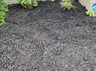 Cleanups by Andree Dualan for Michael H. in Norfolk, VA