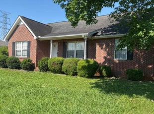 Gene J.'s Bush Trimming service result
