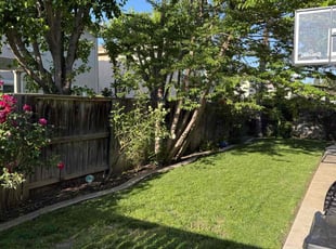 Jacklynn F.'s Yard Cutting service result