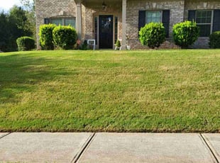 Maggie M.'s Lawn Service service result
