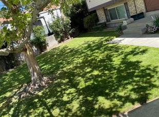 Denise R.'s Lawn Maintenance service result