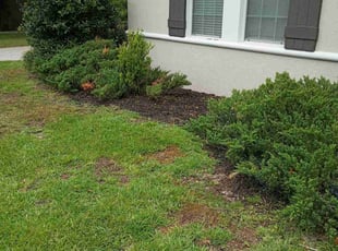 Weeding by Willie Carmichael Jr for Brooke S. in Apopka, FL