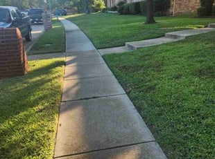 Zack F.'s Yard Cutting service result