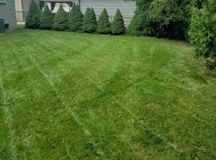 Meredith W.'s Lawn Service service result