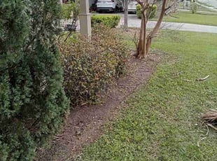 Weeding by Gregory Lewis for Patrick H. in Baton Rouge, LA