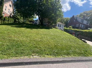 Jewell R.'s Lawn Mowing Service service result
