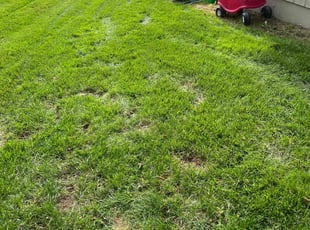 Cleanups by Darron Cotton for Shae M. in Overland Park, KS