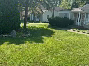 Tina A.'s Lawn Mowing Service service result