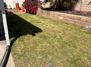 Melissa B.'s Yard Cutting service result