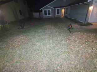 Leaf Removal by Duilio Leonardo Cadena Gonzalez for Luis R. in San Antonio, TX