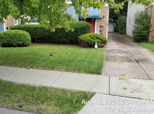 Jean A.'s Lawn Mowing service result