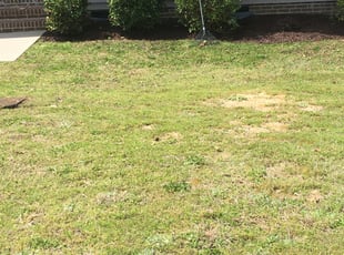 Cleanups by John Terry for Deborah S. in Franklinton, NC