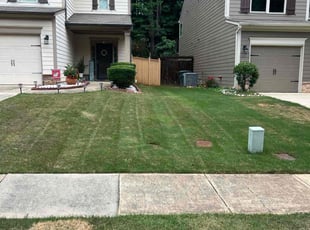Nikki M.'s Lawn Care service result