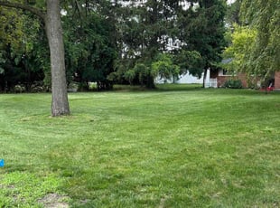 robert k.'s Lawn Service service result