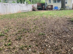 Leaf Removal by Josh Keravuori for James M. in Greenville, SC