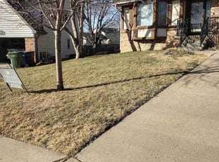 Leaf Removal by Tim Birch for Jonathan J. in Bellevue, NE