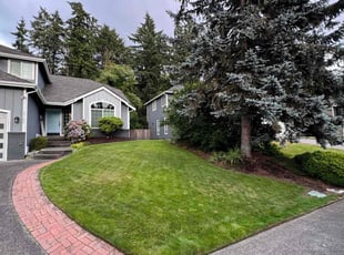 Bill W.'s Lawn Maintenance service result