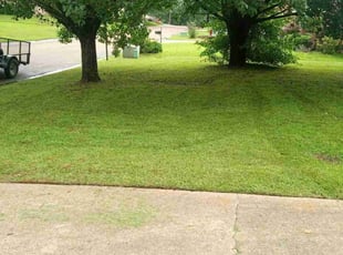Maureen N.'s Lawn Service service result