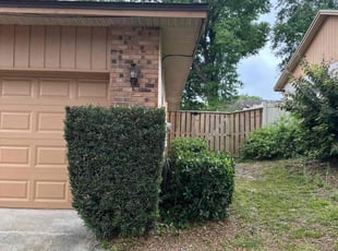Bush Trimming by M&C Lawn Pro Services, LLC for Neil T. in Orlando, FL