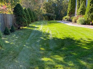 Erik P.'s Lawn Maintenance service result