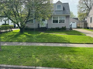 Vincent C.'s Grass Cutting service result