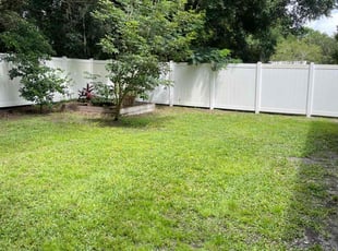 Dave W.'s Lawn Mowing service result
