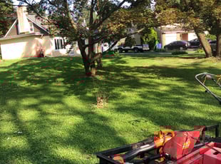 Cleanups by John Herling for Maria T. in Hulmeville, PA