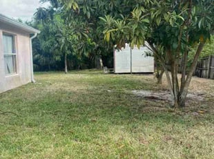Leaf Removal by Steve Hughes for Ruben M. in Palm Bay, FL