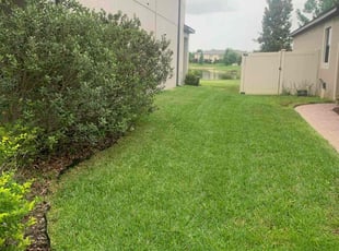 Phillip R.'s Lawn Mowing service result