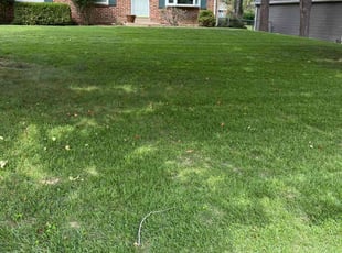 Andrea B.'s Grass Cutting service result