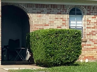 Bush Trimming by James Landes for Tara S. in Forest Hill, TX
