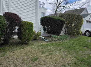 Bush Trimming by Ali Awad for Mike B. in Fair Lawn, NJ