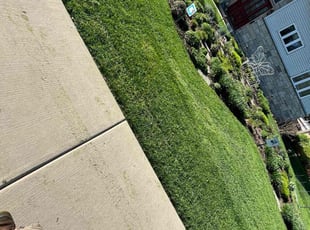 Guy B.'s Yard Cutting service result