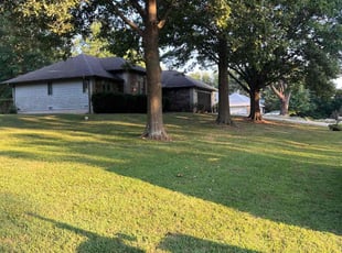 Kenneth H.'s Grass Cutting service result