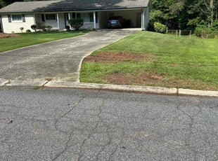 Caitlin K.'s Bush Trimming service result