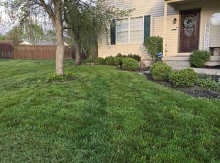 Robia G.'s Lawn Mowing Service service result