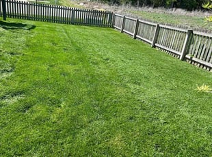 Barbara P.'s Lawn Mowing service result