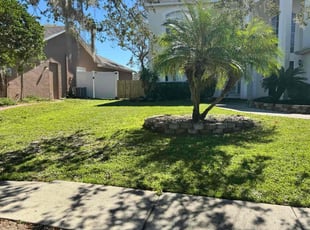 Ryan H.'s Lawn Mowing Service service result