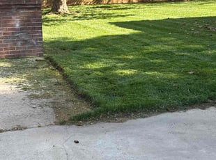 Miranda A.'s Lawn Mowing service result