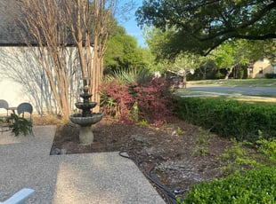 Weeding by Victor Ramirez for Stephen L. in Dallas, TX