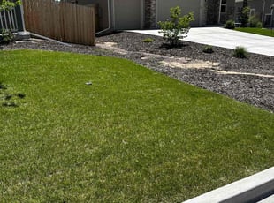 Tas K.'s Lawn Service service result