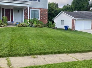 Deborah K.'s Lawn Care service result
