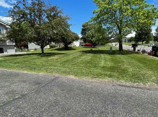 Kelvin R.'s Lawn Service service result