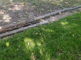 Landscaping by Eric Hahn for Courtney L. in Maple Grove, MN