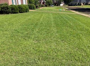 Ann J.'s Lawn Mowing service result