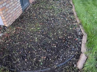 Cleanups by Roosevelt Williams for Rita W. in Brooklyn Park, MN