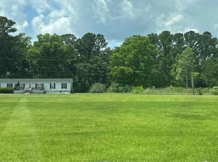 James P.'s Yard Cutting service result