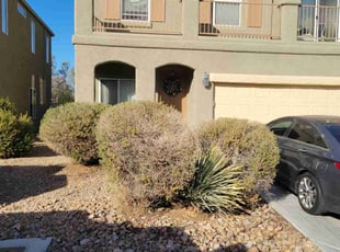 Bush Trimming by Leland Floyd for Brittany B. in Las Vegas, NV